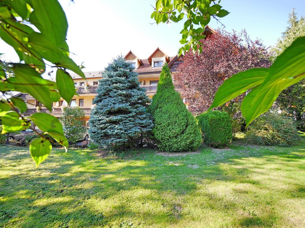 Ringhotel Garni Pflug Oberkirch  Luaran gambar