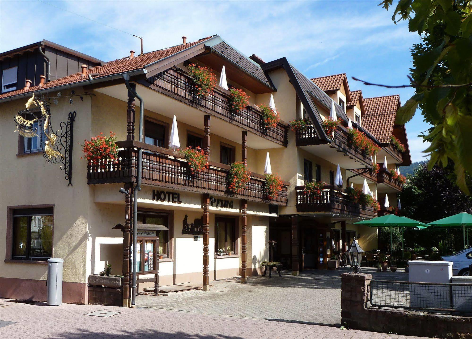 Ringhotel Garni Pflug Oberkirch  Luaran gambar