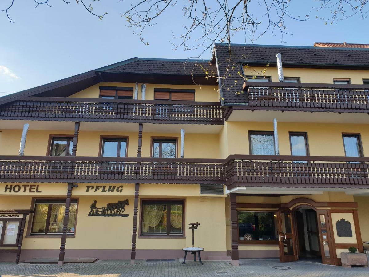 Ringhotel Garni Pflug Oberkirch  Luaran gambar
